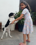 Mahesh Babu’s Daughter Sitara Ghattamaneni New Latest New Photos