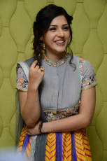 Mehreen Pirzada New Latest HD Photos | Raja The Great Movie Heroine Mehreen Pirzada Photo Shoot Images