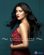 Malvika Sharma New Latest HD Photos | NELA Ticket Movie Heroine Malvika Sharma Photo Shoot Images