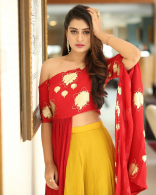 Payal Rajput New Latest HD Photos | RX100 Movie Heroine Payal Rajput Photo Shoot Images