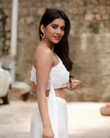 Nabha Natesh New Latest HD Photos | iSmart Shankar Movie Heroine Nabha Natesh Photo Shoot Images